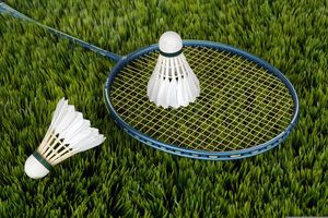 badminton small picture.